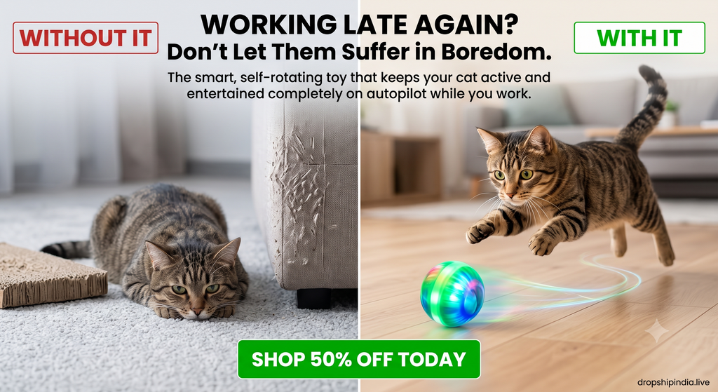 Cat Ball Toy, Automatic 360° Self-Rotating Rolling Ball with USB Rechargeable Moving, Lighting, Pet Exercise Kitten and Dog Playing Smart Cat Toy (Multicolor)