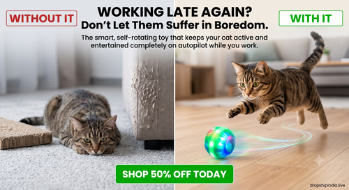 Cat Ball Toy, Automatic 360° Self-Rotating Rolling Ball with USB Rechargeable Moving, Lighting, Pet Exercise Kitten and Dog Playing Smart Cat Toy (Multicolor)